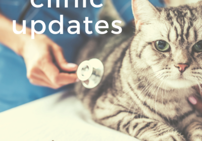 clinic updates | 7.13.20