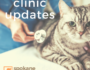 clinic updates | 7.13.20
