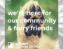 shelter updates 5.27.20 | from our SHS family to yours