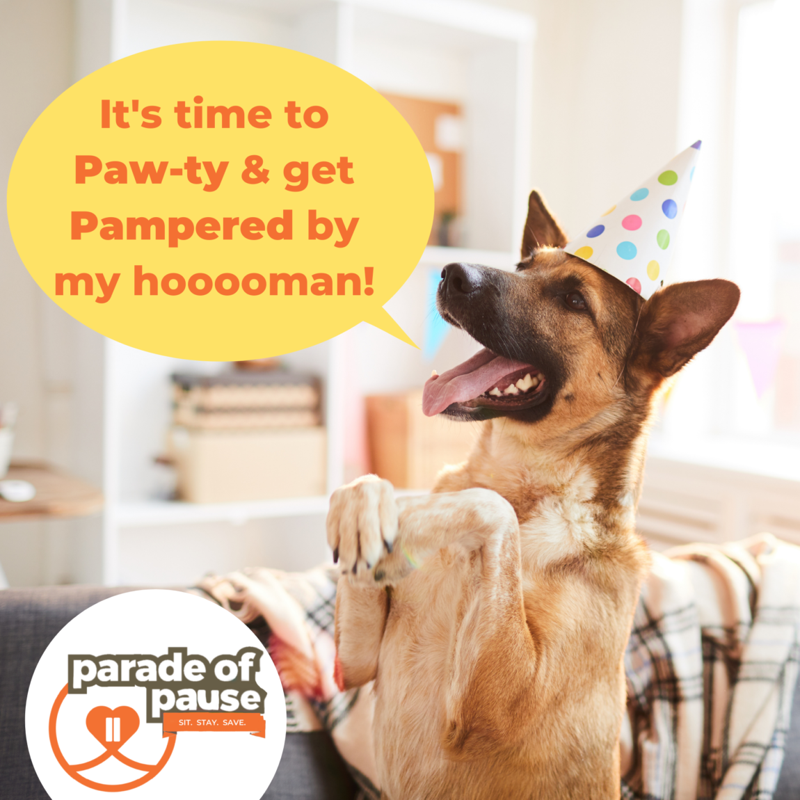 lets-PAWTY-PAMPER-our-pets-this-October-17th.-3-1.png