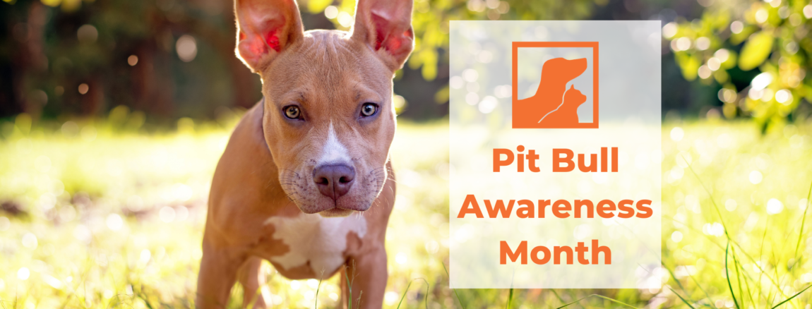 National-Pit-Bull-Awareness-Month-1.png