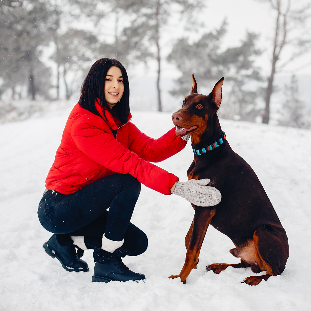 Winter Weather Pet Tips