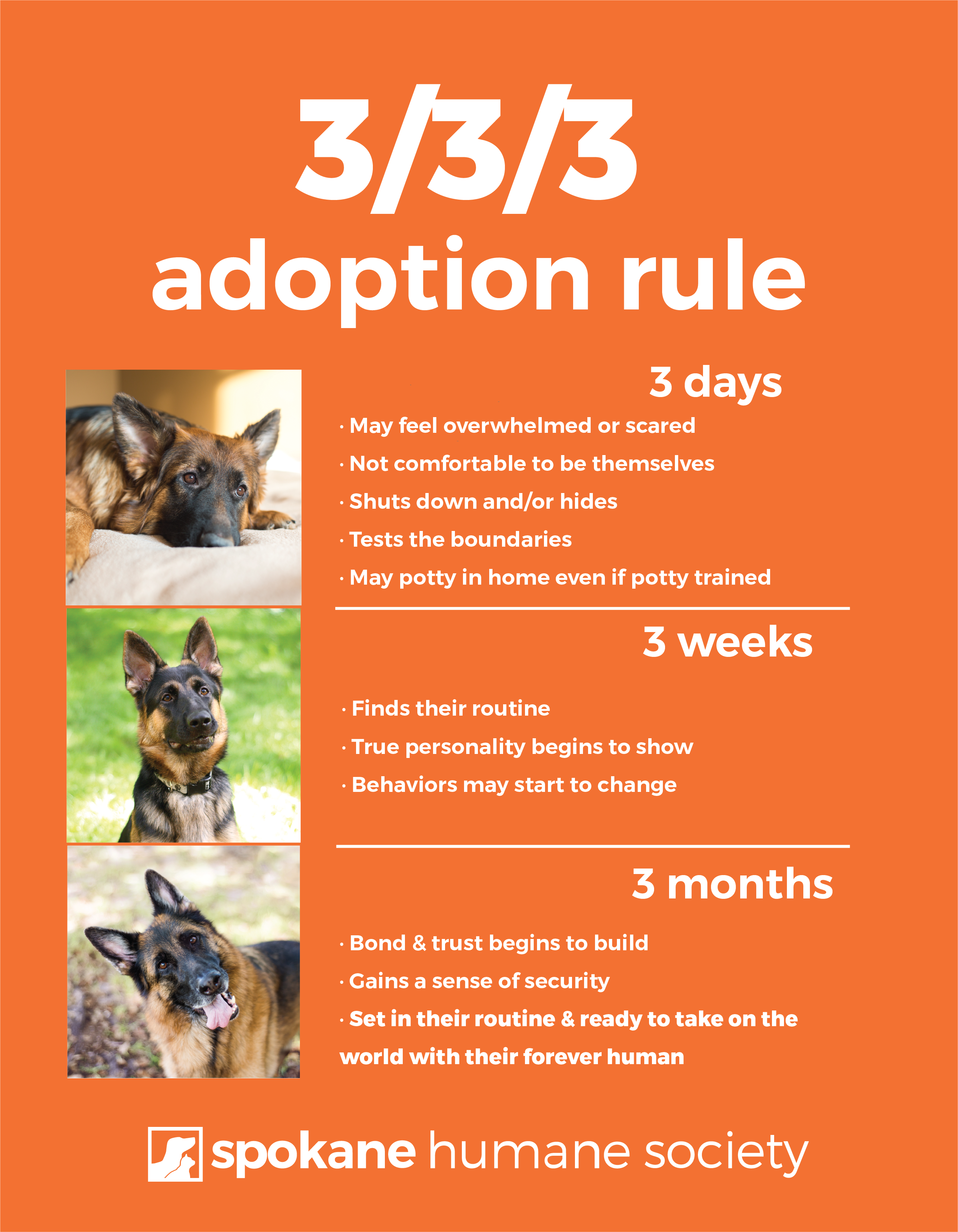 adoptable animals – Spokane Humane Society