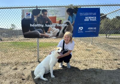 Clear the Shelters, Adopt and Donate Month was a success!