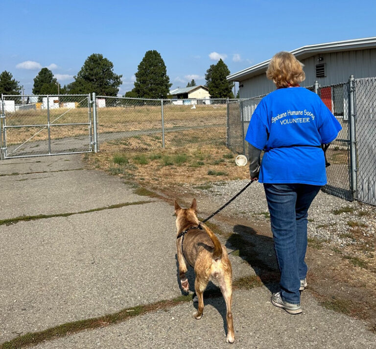 Volunteer – Spokane Humane Society