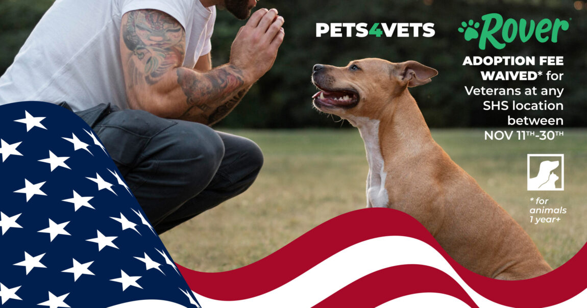 pets4vets2023-scaled.jpg