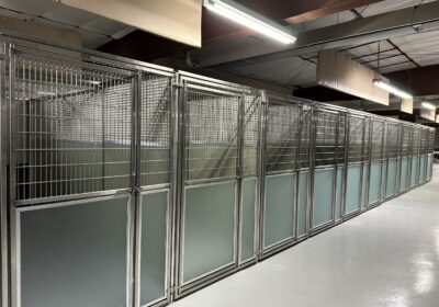 Kennel 2 Renovation is Complete