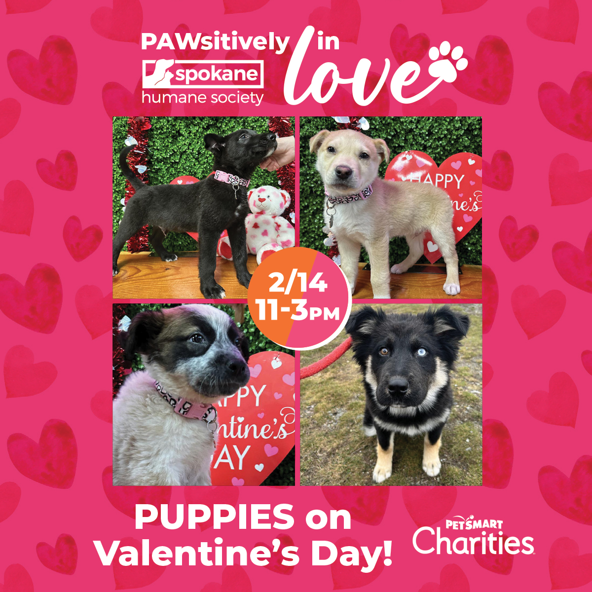 Join SHS for Valentine’s Day