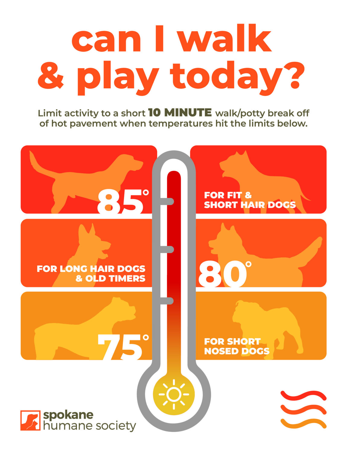 It’s Getting Hot Out Here – Tips to Keeping Your Pet Safe in Warm Weather!