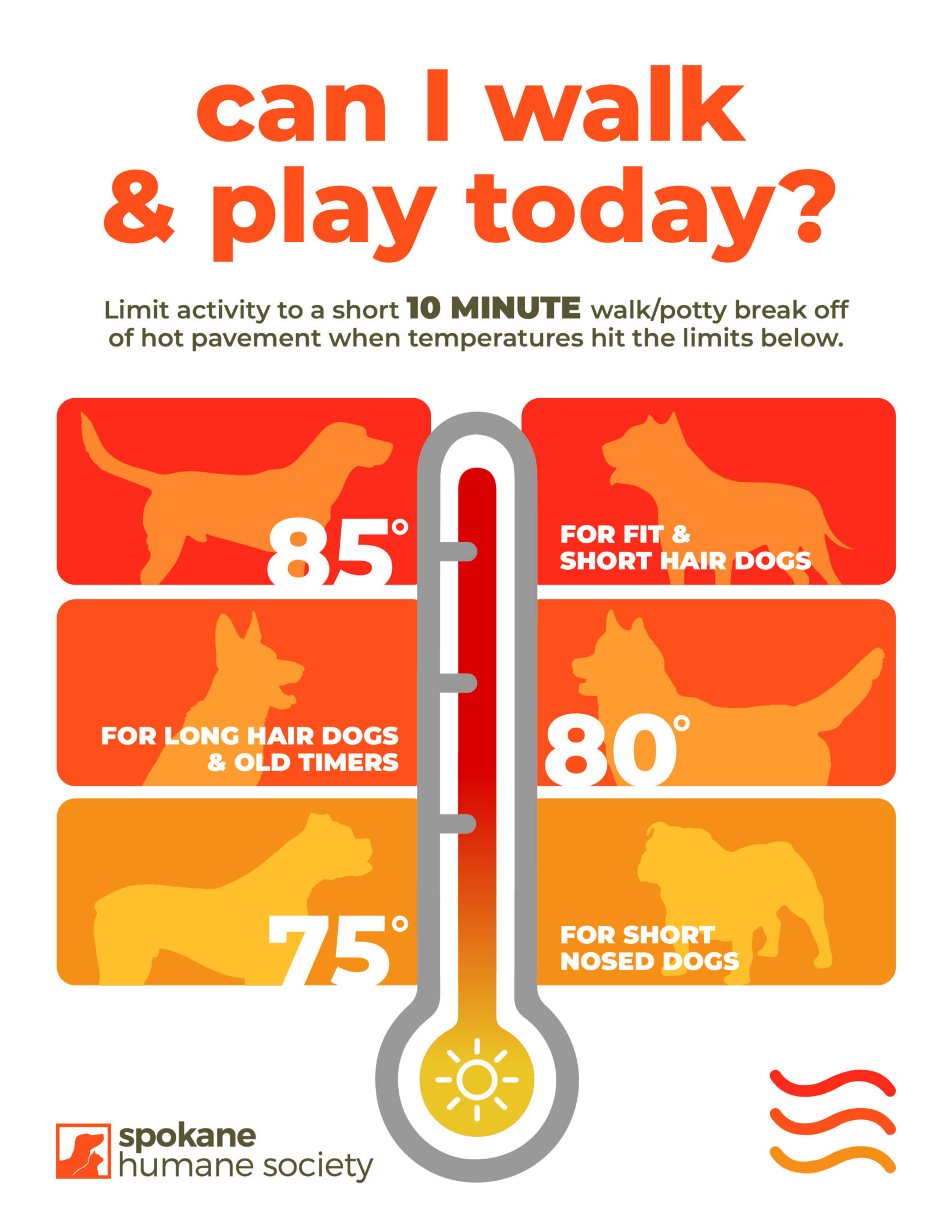 It’s Getting Hot Out Here Tips to Keeping Your Pet Safe in Warm
