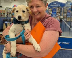 PetSmart Charities National Adoption Week 2024 – Celebrating our Animals!