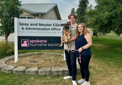 July’s Most Memorable Adoptions