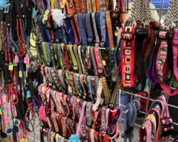 Meet our Vendors for Parade of Paws 2025!