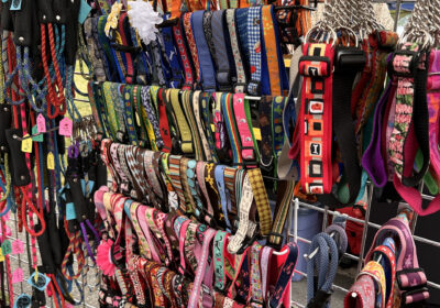 Meet our Vendors for Parade of Paws 2025!