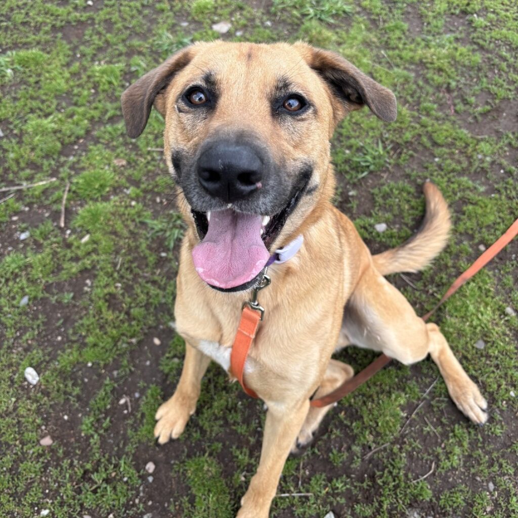 Oso's Transformation-Training for a Fresh Start