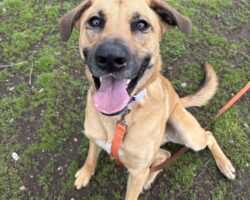 Oso’s Transformation-Training for a Fresh Start