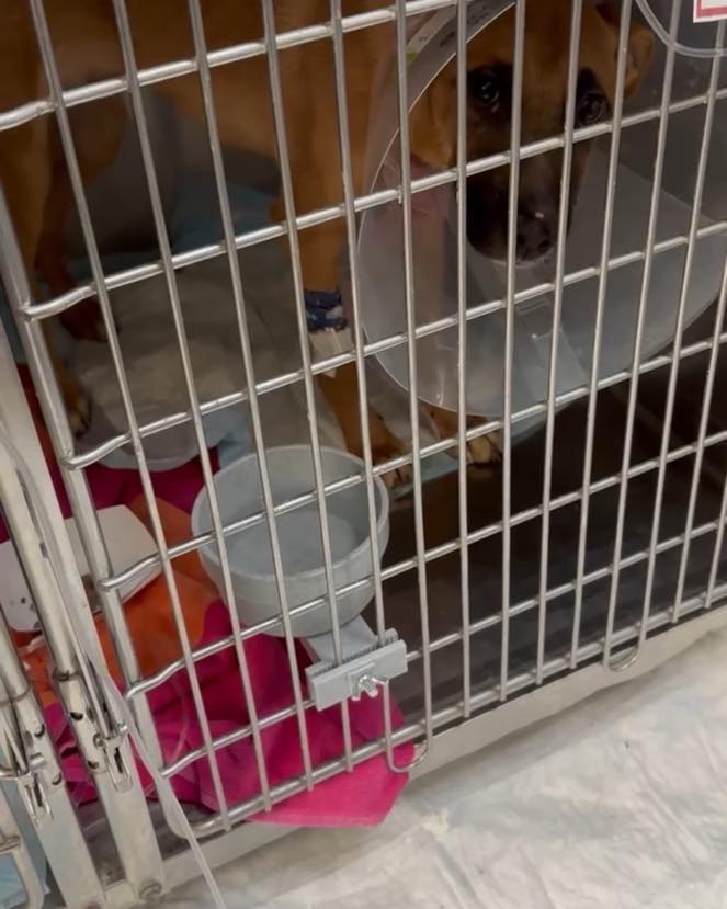 559273599_1345096613639018_2770934877756644949_n