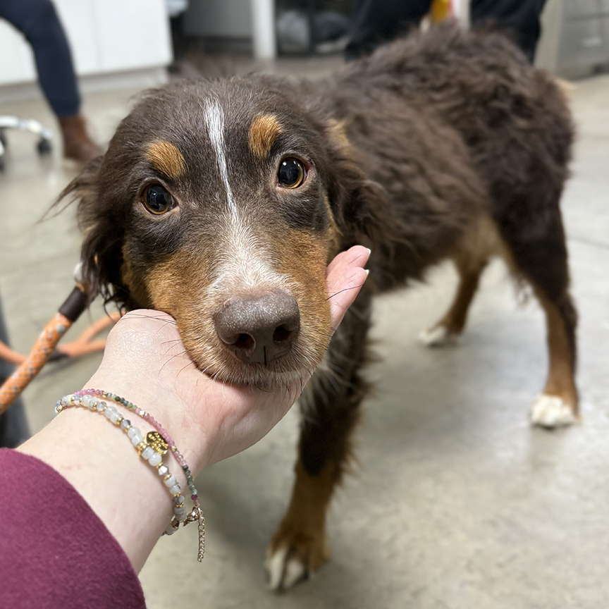 Together, We Save Lives