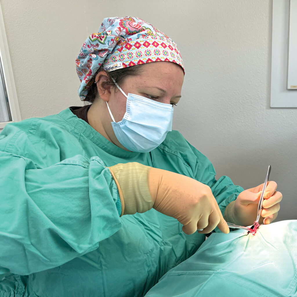 National World Spay and Neuter Day