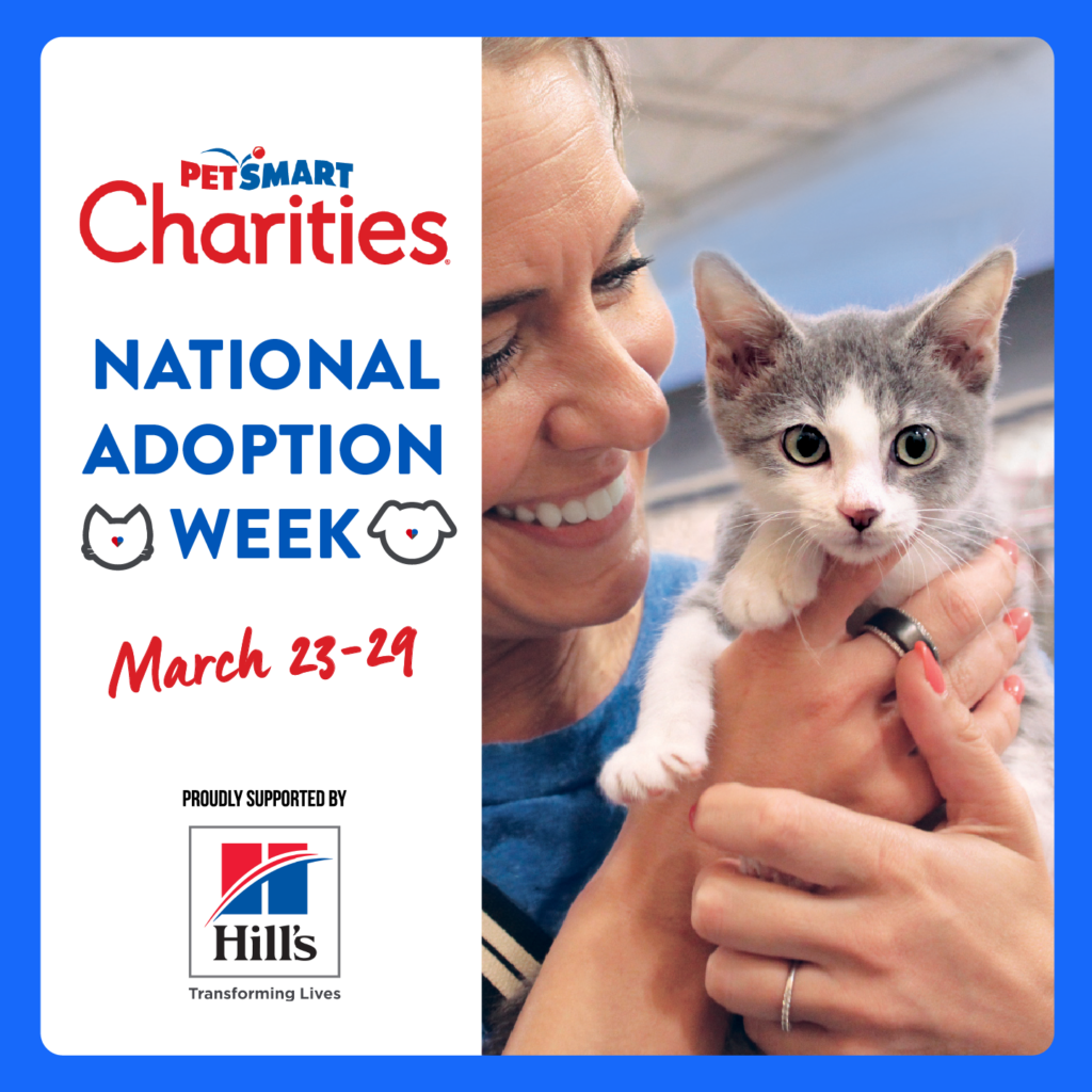 National Adoption Week, March 23-29, 2026