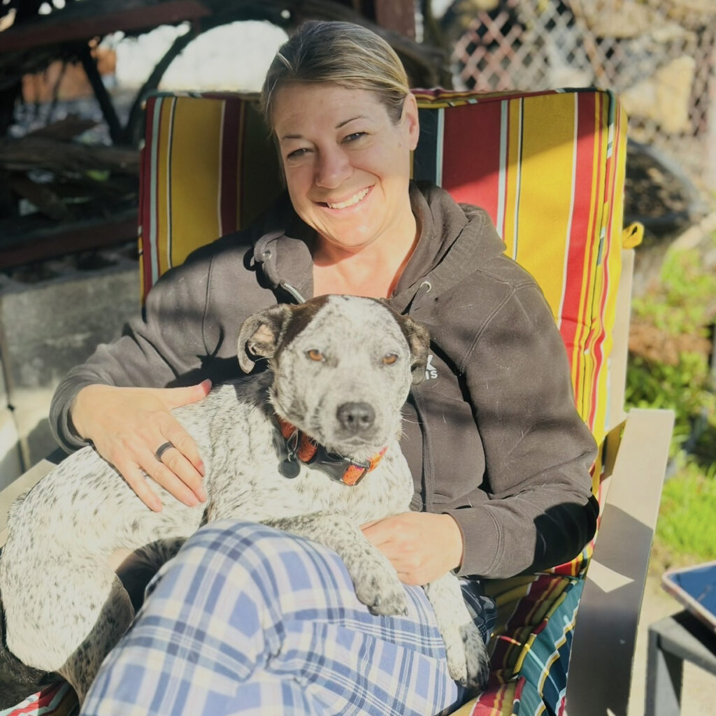 Volunteer and Fostering is More than you Think