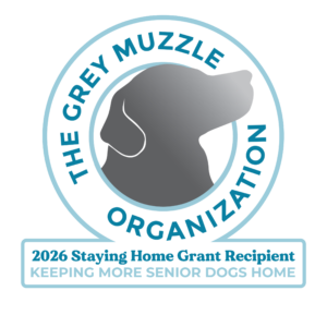 Grey Muzzle